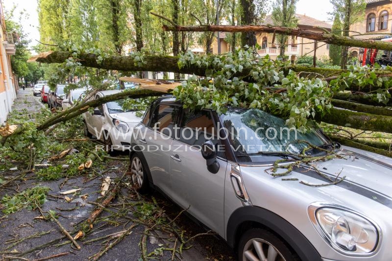 CORSO VITTORIO VENETO
MALTEMPO VENTO GRANDINATA FERRARA