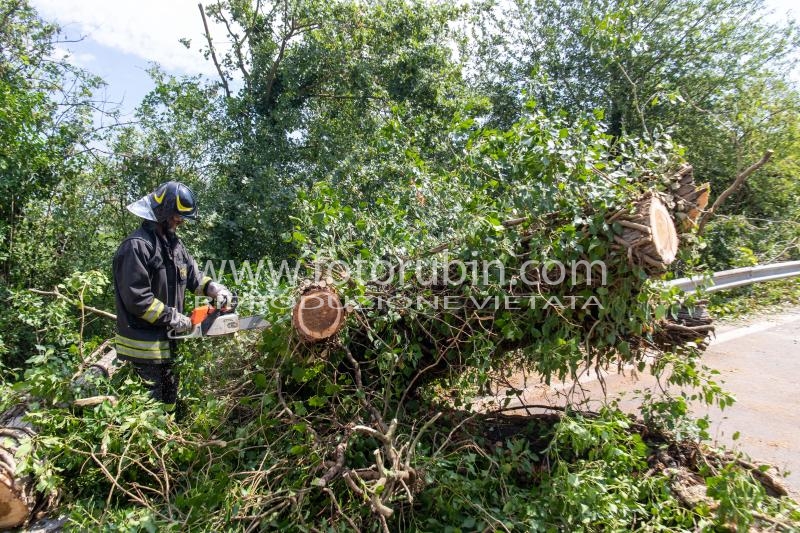 VIGILI DEL FUOCO ALBERI CADUTI SUPERSTRADA FERRARA MARE A ROVERETO
MALTEMPO TROMBA ARIA BASSO FERRARESE